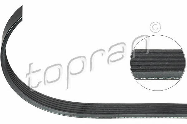 Topran 114 965 V-ribbed belt 6PK1613 114965