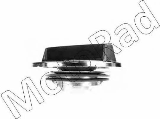 MGC828 MotoRad Fuel Door Assembly