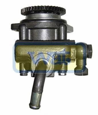 Wat BVW66Z Hydraulic Pump, steering system BVW66Z