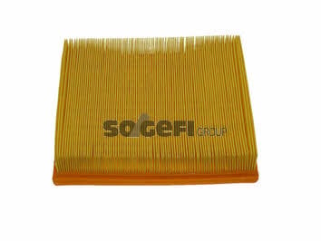 Buy Fiaam PA7177 at a low price in United Arab Emirates!