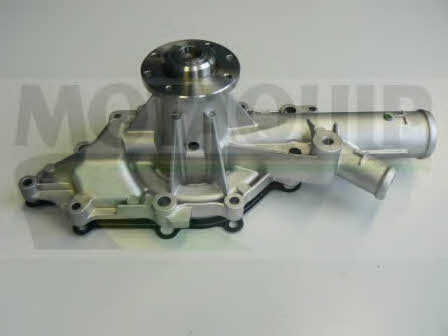 Motorquip VWP855 Water pump VWP855