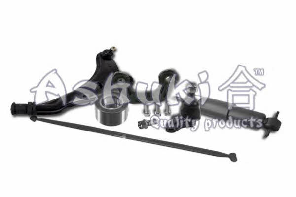 Ashuki J980-11 Rear Right Oil Shock Absorber J98011