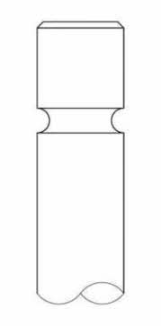 Intervalves 1844.002 Intake valve 1844002