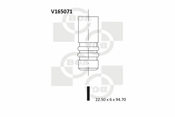 BGA V165071 Exhaust valve V165071