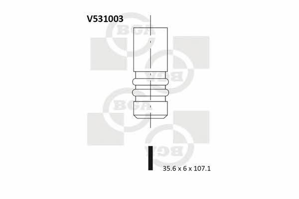 BGA V531003 Intake valve V531003