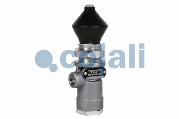 Cojali 2213201 Multi-position valve 2213201