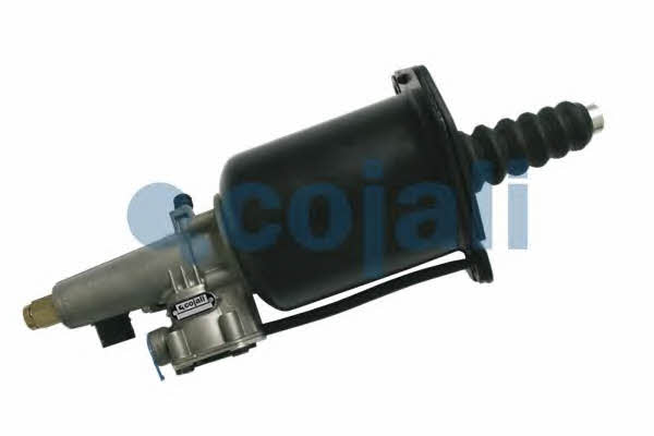 Buy Cojali 2250249 at a low price in United Arab Emirates!