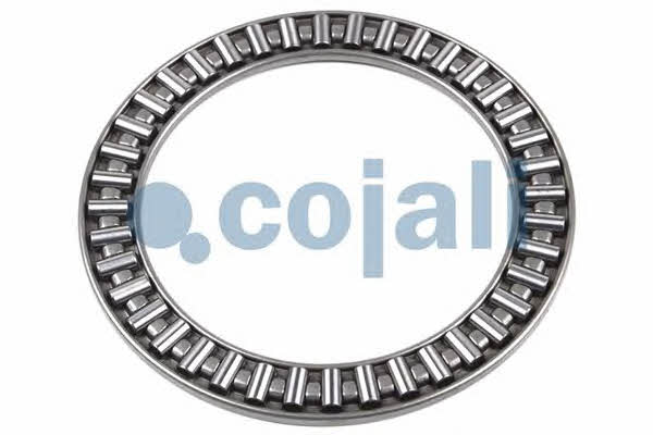 Cojali 6086532 Repair Kit, brake caliper 6086532