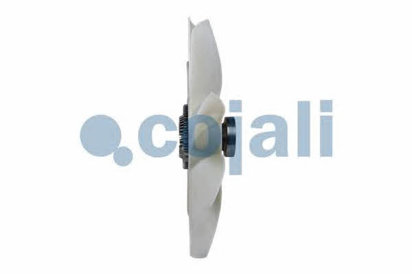Hub, engine cooling fan wheel Cojali 7085106