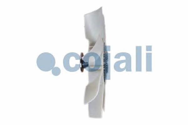 Buy Cojali 7075109 at a low price in United Arab Emirates!