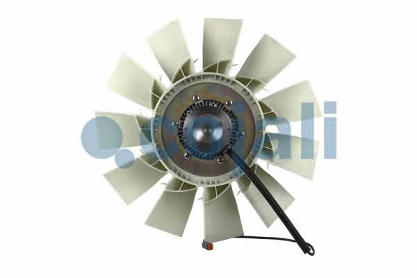 Buy Cojali 7075408 at a low price in United Arab Emirates!