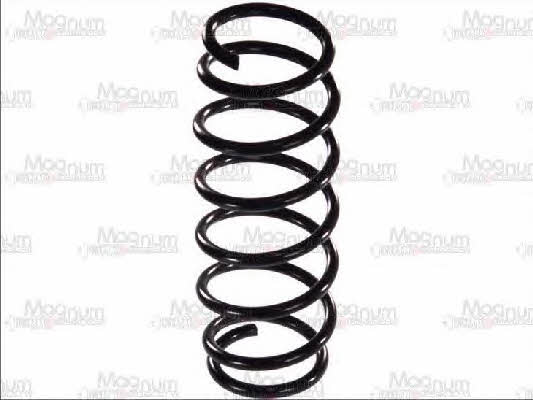 coil-spring-s00005mt-10334503