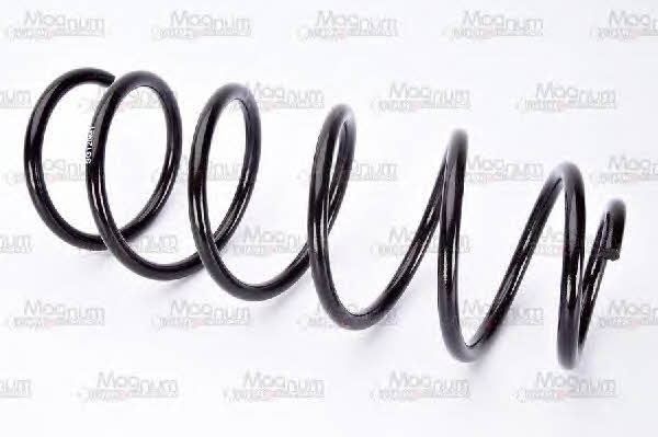 Buy Magnum technology SG120MT at a low price in United Arab Emirates!