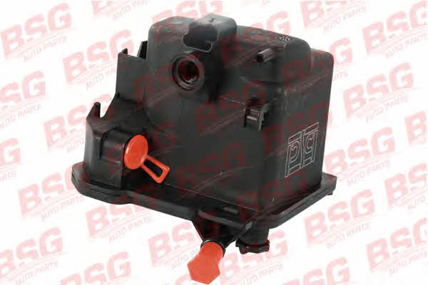 BSG 30-130-007 Fuel filter 30130007