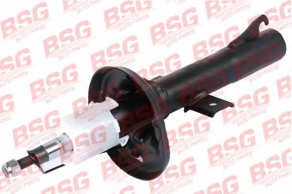 BSG 30-300-018 Front oil and gas suspension shock absorber 30300018