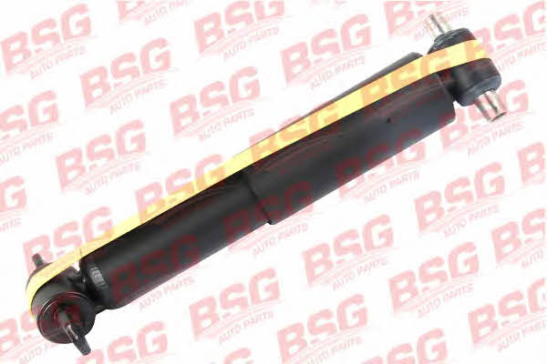 BSG 30-300-041 Front oil and gas suspension shock absorber 30300041