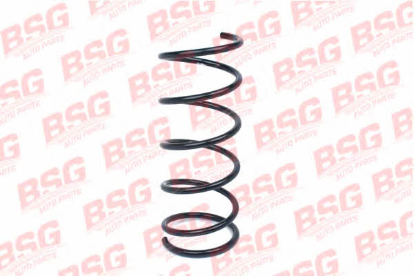 BSG 30-305-019 Coil spring 30305019