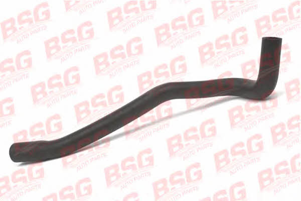 BSG 30-720-087 Heating hose 30720087
