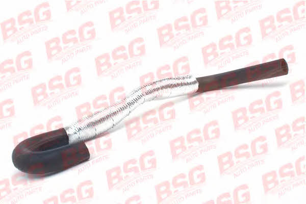 BSG 30-720-090 Heating hose 30720090