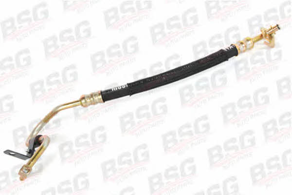 BSG 30-725-004 High pressure hose with ferrules 30725004