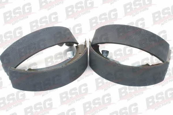 BSG 70-205-002 Brake shoe set 70205002
