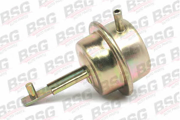 BSG 60-840-021 Injection pump valve 60840021