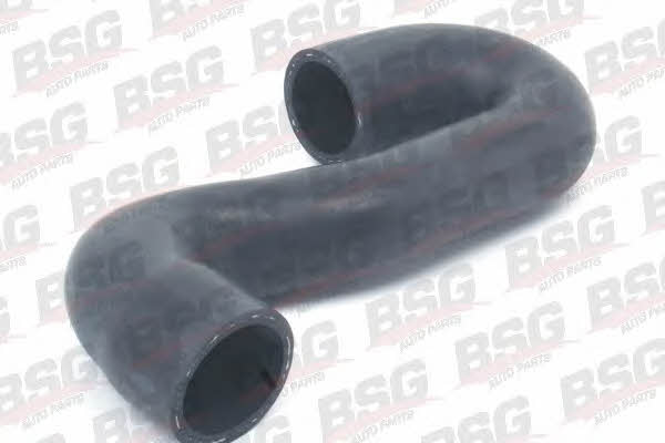 BSG 65-720-018 Refrigerant pipe 65720018