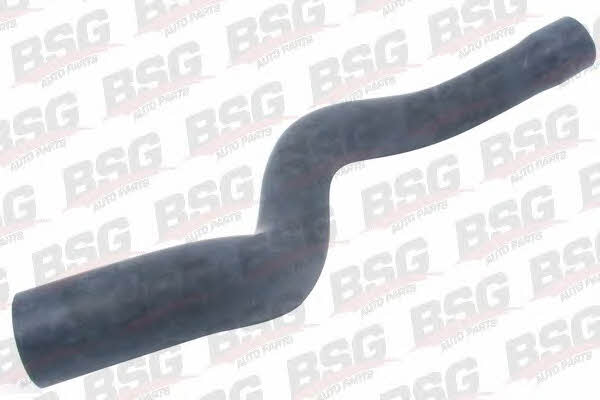 BSG 65-720-021 Refrigerant pipe 65720021