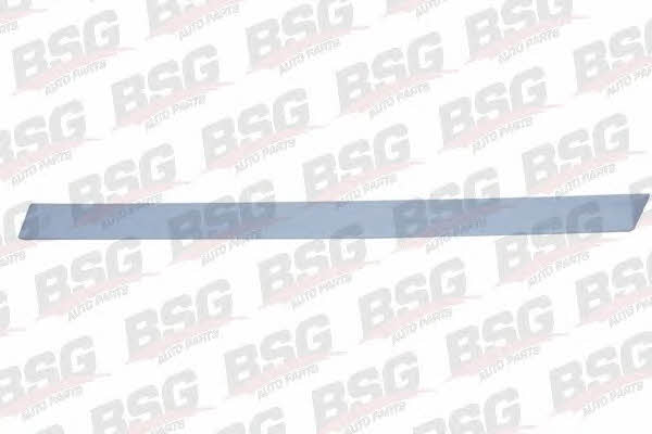 BSG 65-924-003 Trim/Protective Strip, door 65924003