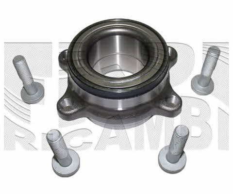 Caliber RC1981 Wheel bearing kit RC1981