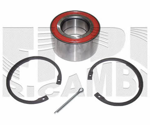 Caliber RC4419 Wheel bearing kit RC4419