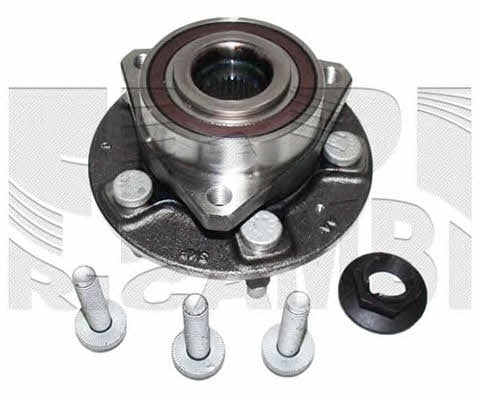 Caliber RC4493 Wheel bearing kit RC4493