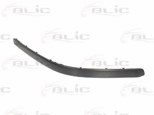 Bumper moulding BMW: 5703050065930PP Blic Trim front bumper right