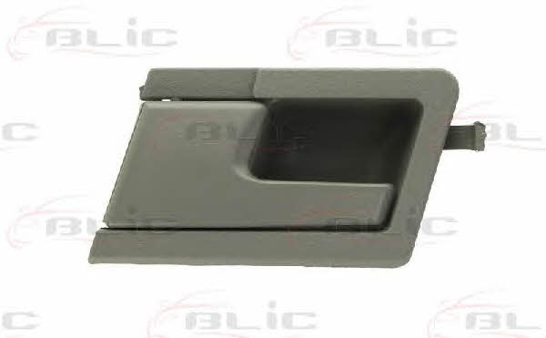Handle-assist Blic 6010-01-013409PP