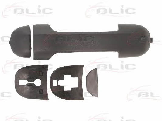 Handle-assist Blic 6010-03-037405P
