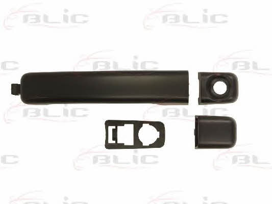 Handle-assist Blic 6010-04-053401P