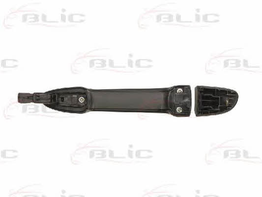 Handle-assist Blic 6010-14-052402P