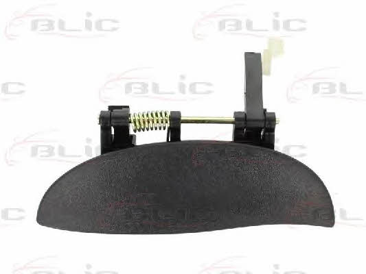 Handle-assist Blic 6010-20-013403P