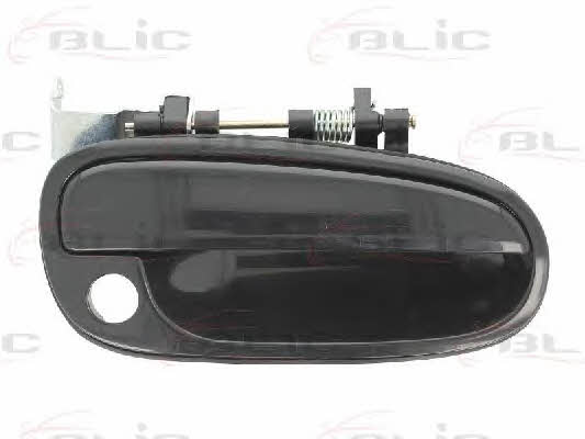 Handle-assist Blic 6010-20-023402P