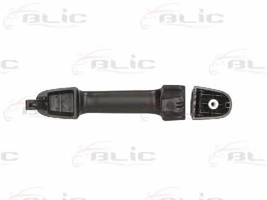 Handle-assist Blic 6010-20-045402P