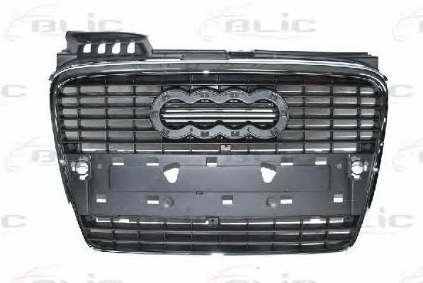 Blic 6502-07-0028990P Grille radiator 6502070028990P