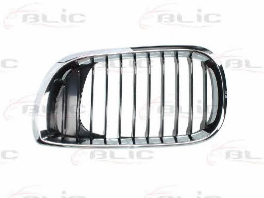 Grille radiator Blic 6502-07-0061991AP