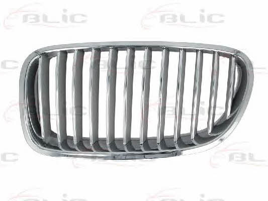 Grille radiator Blic 6502-07-0067995P