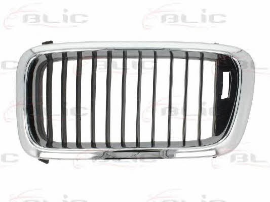 Grille radiator Blic 6502-07-0075991P
