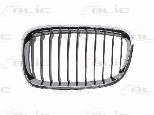 Grille radiator Blic 6502-07-0086991P