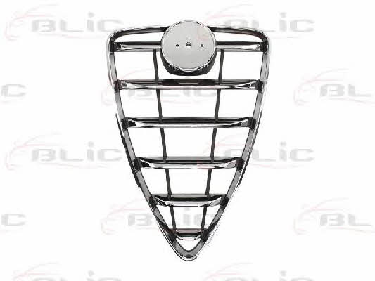 Grille radiator Blic 6502-07-0110990P