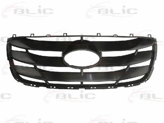 Radiator grille Hyundai: 6502073181991P Blic Grille radiator