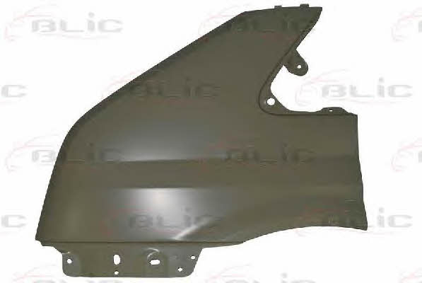 Front fender left Blic 6504-04-2510311P