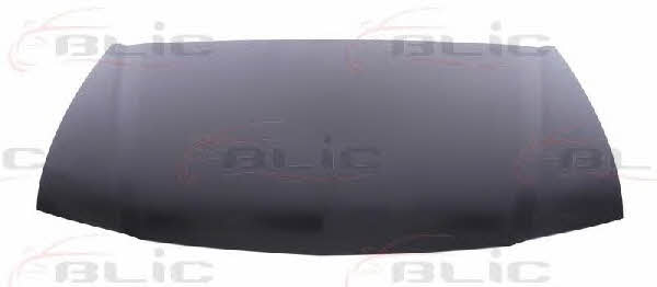 Hood Blic 6803-00-2926281P
