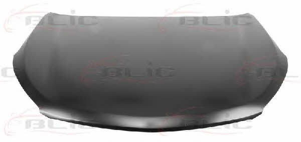 6803003182280P Blic Hood